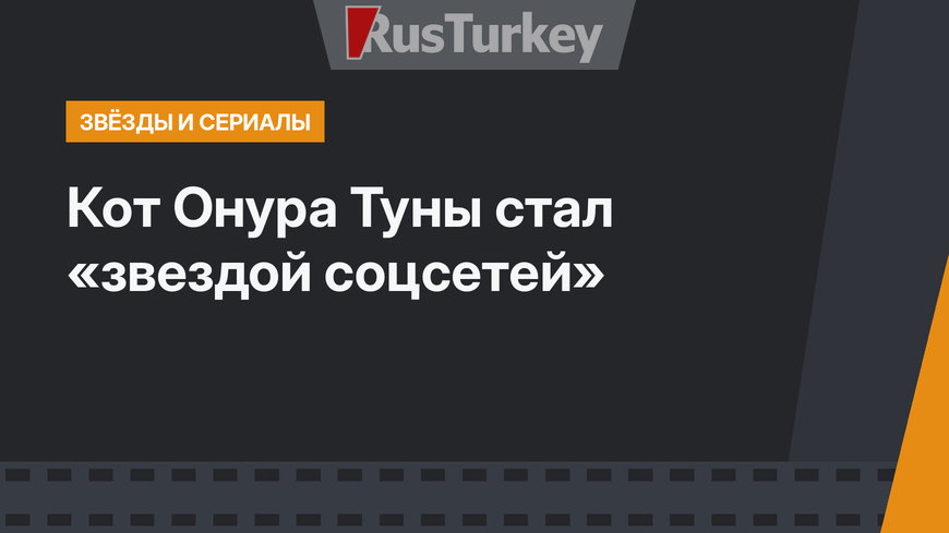 Кот Онура Туны стал «звездой соцcетей»