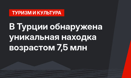 В Турции обнаружена уникальная находка возрастом 7,5 млн 