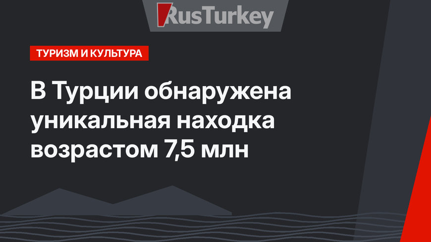 В Турции обнаружена уникальная находка возрастом 7,5 млн 