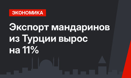 Экспорт мандаринов из Турции вырос на 11%