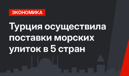 Турция осуществила поставки морских улиток в 5 стран