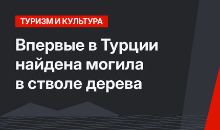 Впервые в Турции найдена могила в стволе дерева 