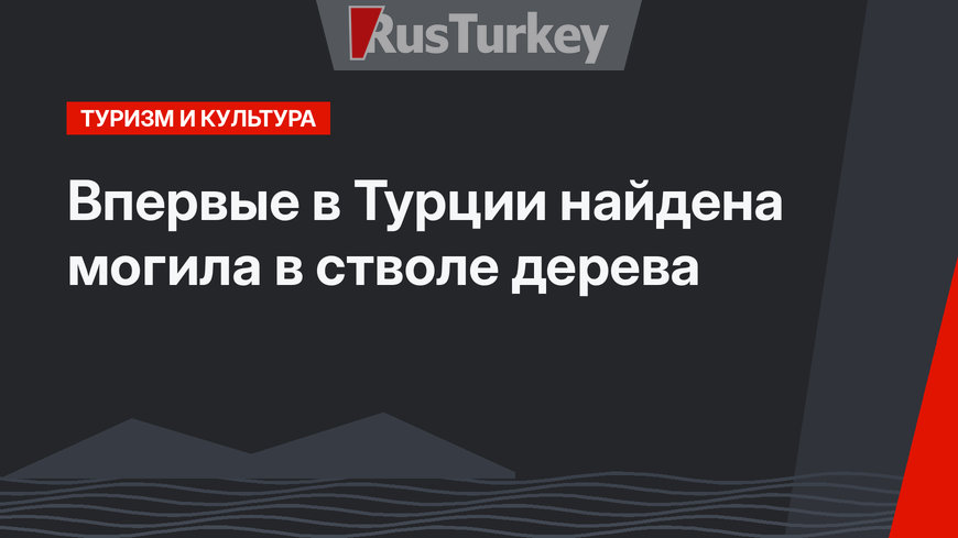 Впервые в Турции найдена могила в стволе дерева 