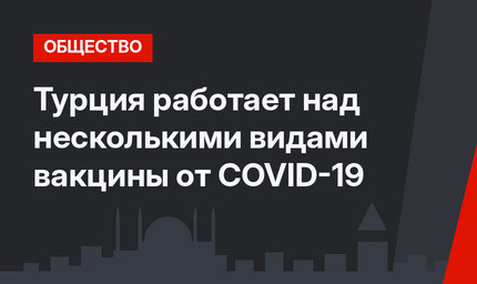 Турция работает над несколькими видами вакцины от COVID-19