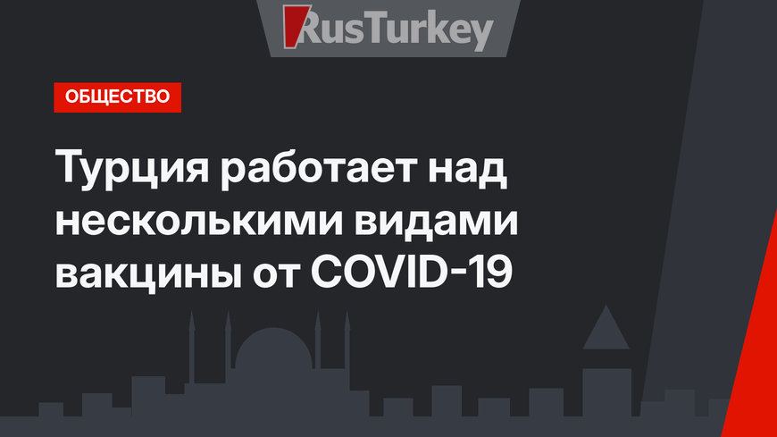 Турция работает над несколькими видами вакцины от COVID-19