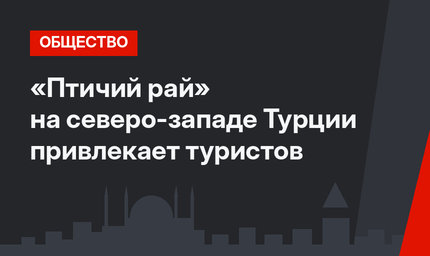 «Птичий рай» на северо-западе Турции привлекает туристов