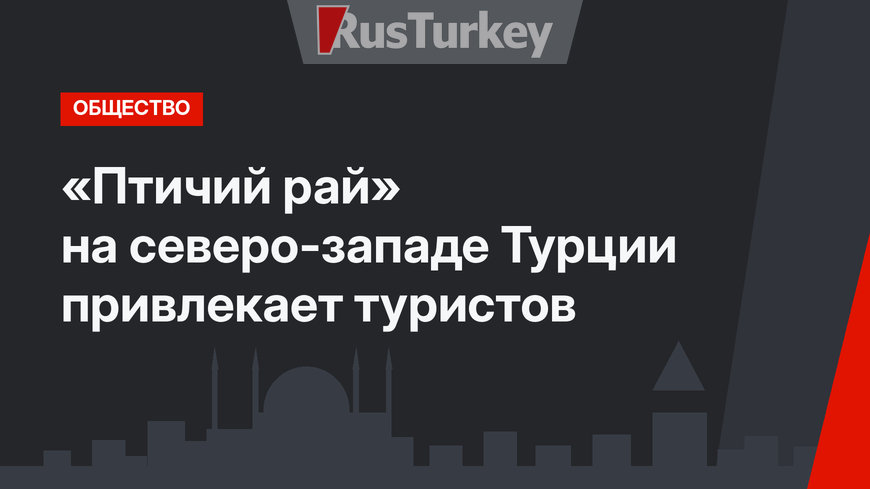 «Птичий рай» на северо-западе Турции привлекает туристов