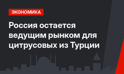 Россия остается ведущим рынком для цитрусовых из Турции