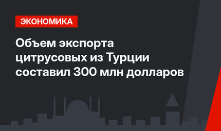 Объем экспорта цитрусовых из Турции составил 300 млн долларов
