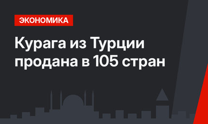 Курага из Турции продана в 105 стран