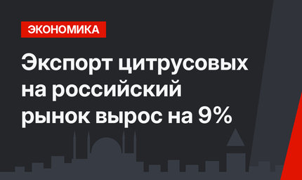 Экспорт цитрусовых на российский рынок  вырос на 9%