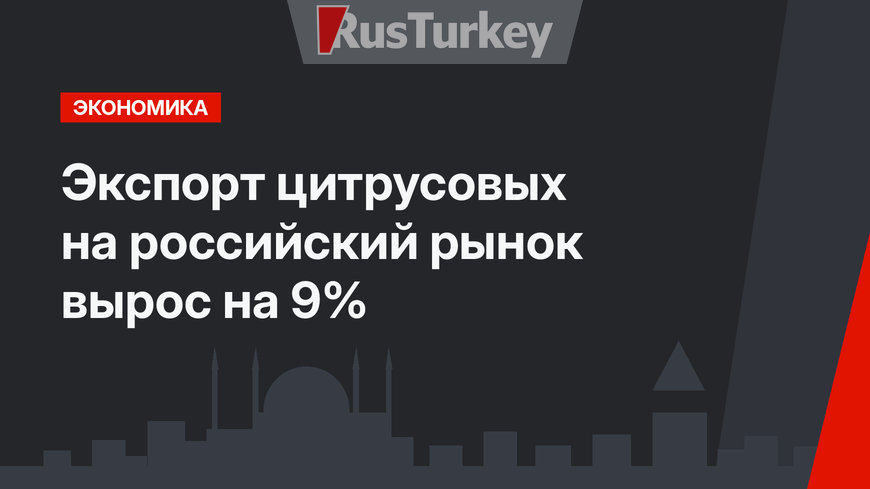 Экспорт цитрусовых на российский рынок  вырос на 9%