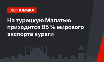 На турецкую Малатью приходится 85 % мирового экспорта кураги