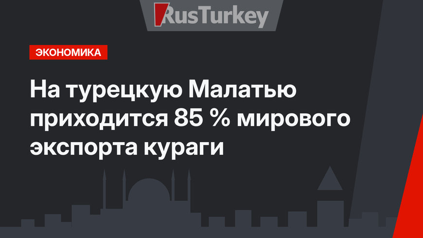 На турецкую Малатью приходится 85 % мирового экспорта кураги
