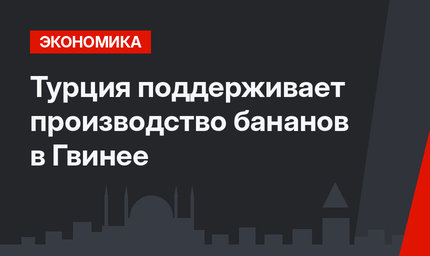 Турция поддерживает производство бананов в Гвинее