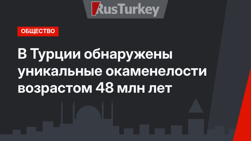 В Турции обнаружены уникальные окаменелости возрастом 48 млн лет