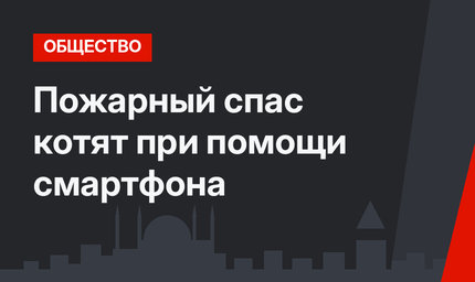 Пожарный спас котят при помощи смартфона