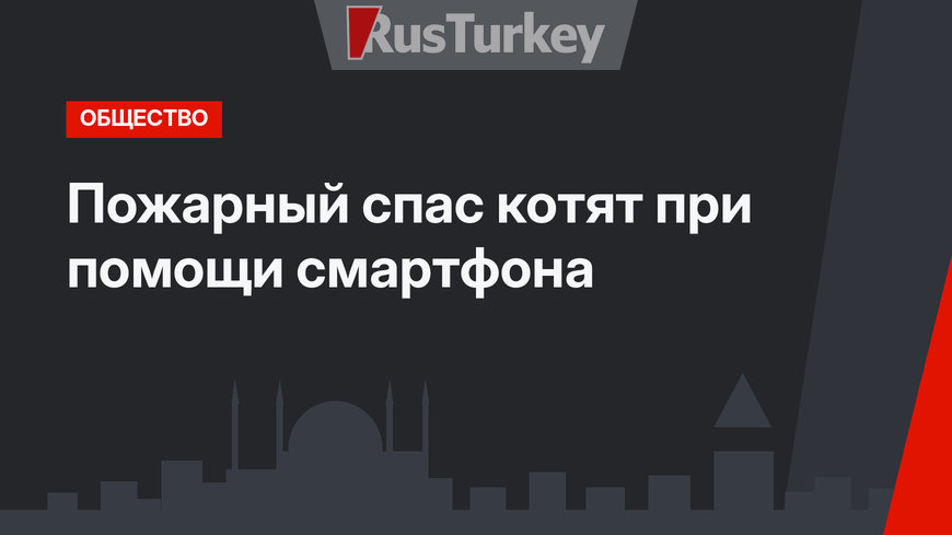Пожарный спас котят при помощи смартфона