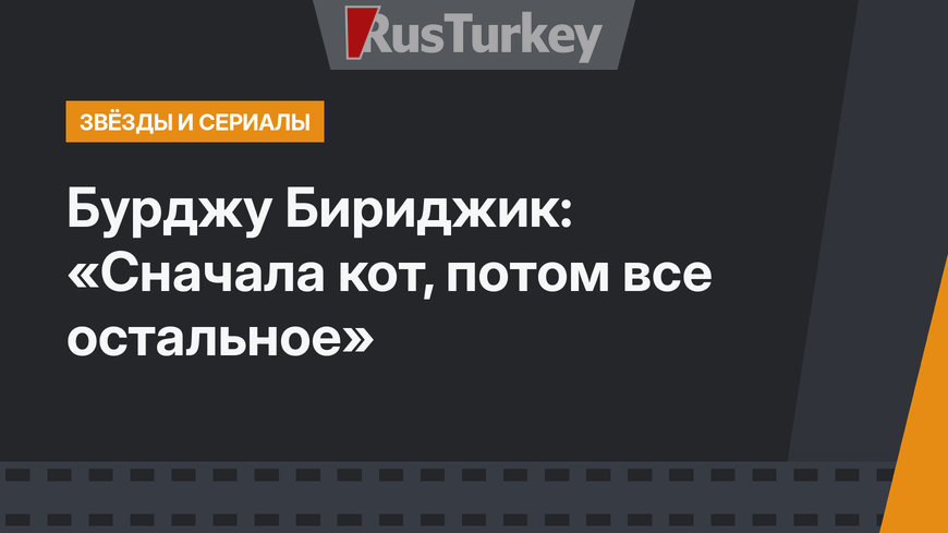 Бурджу Бириджик: «Сначала кот, потом все остальное»