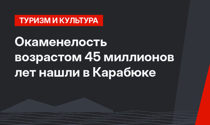 Окаменелость возрастом 45 миллионов лет нашли в Карабюке