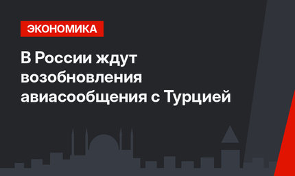 В России ждут возобновления авиасообщения с Турцией