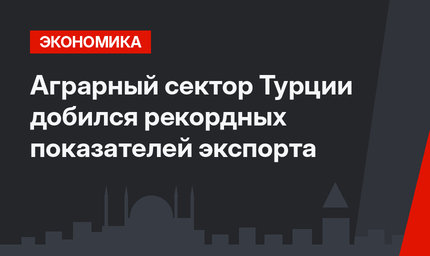 Аграрный сектор Турции добился рекордных показателей экспорта 