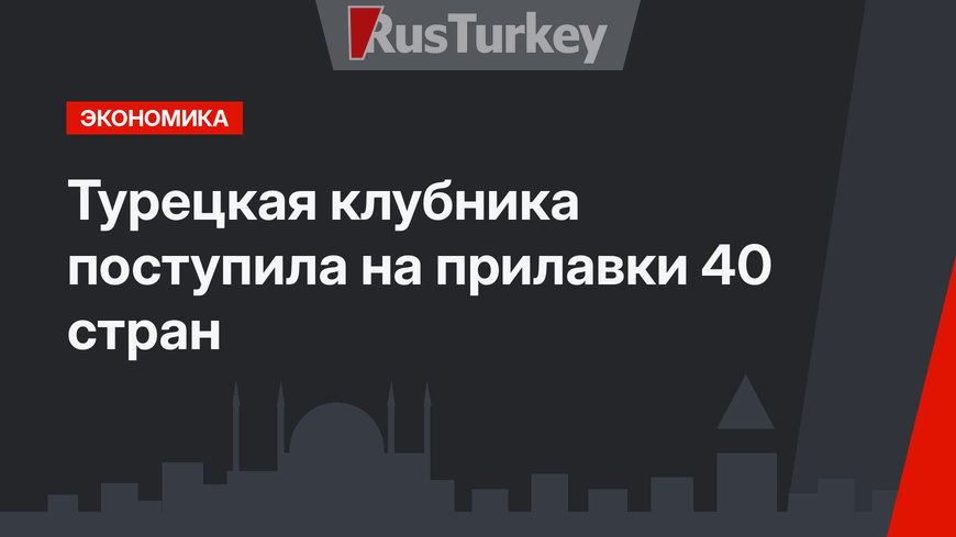 Турецкая клубника поступила на прилавки 40 стран