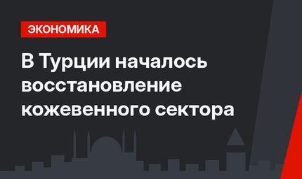 В Турции началось восстановление кожевенного сектора