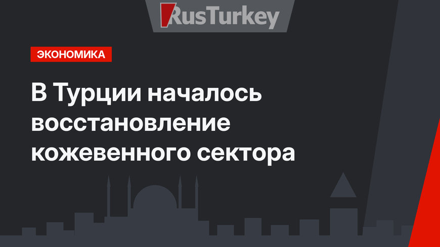 В Турции началось восстановление кожевенного сектора