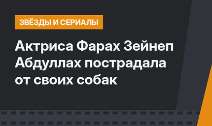 Актриса Фарах Зейнеп Абдуллах пострадала от своих собак
