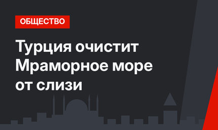 Турция очистит Мраморное море от слизи