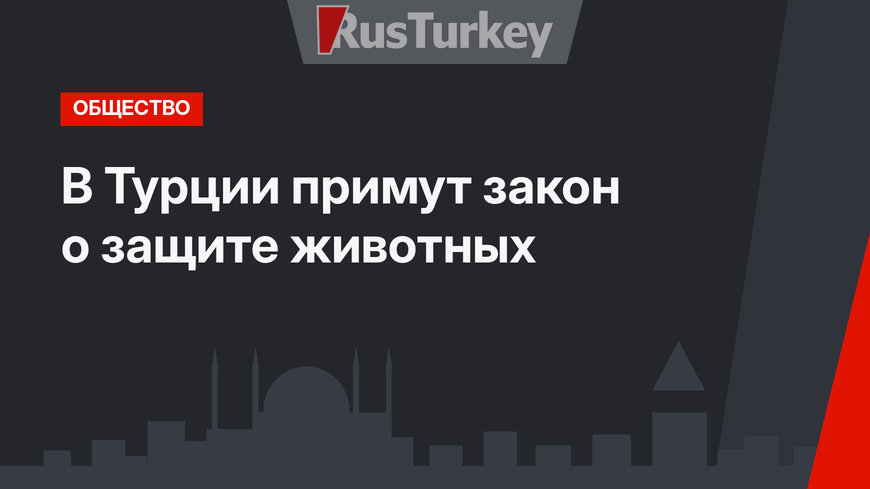 В Турции примут закон о защите животных
