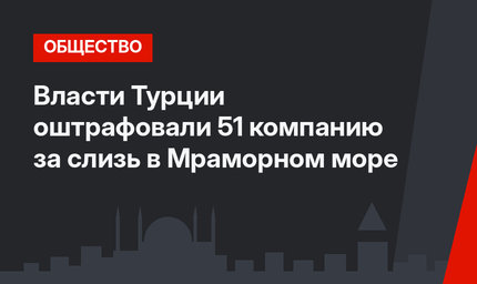 Власти Турции оштрафовали 51 компанию за слизь в Мраморном море