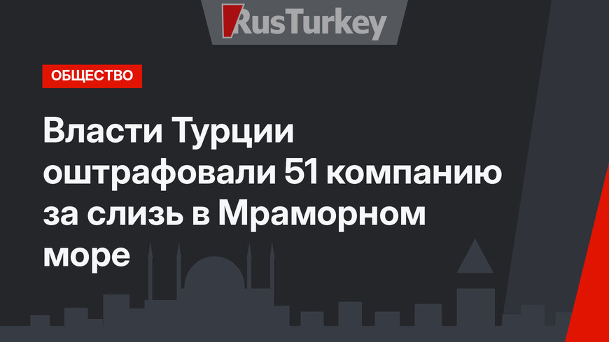 Власти Турции оштрафовали 51 компанию за слизь в Мраморном море