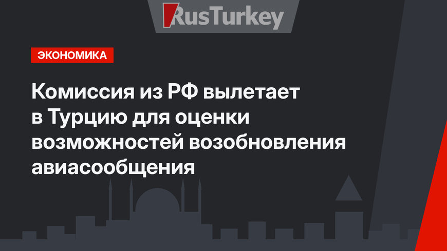 Комиссия из РФ вылетает в Турцию для оценки возможностей возобновления авиасообщения