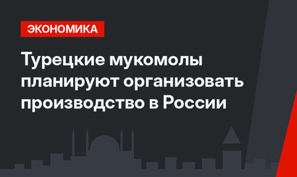 Турецкие мукомолы планируют организовать производство в России