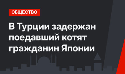 В Турции задержан поедавший котят гражданин Японии