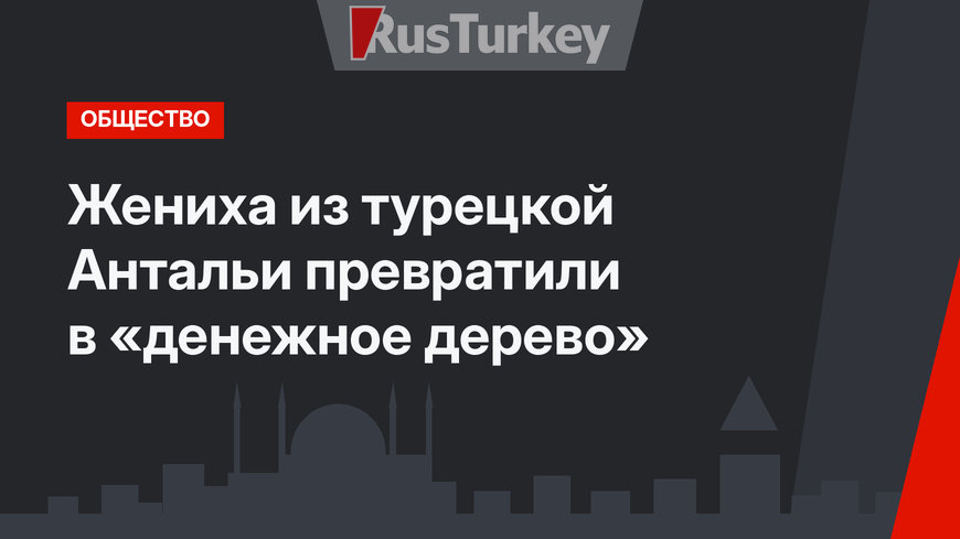 Жениха из турецкой Антальи превратили в «денежное дерево»