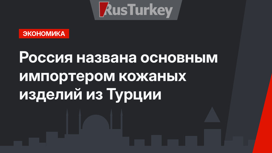 Россия названа основным импортером кожаных изделий из Турции