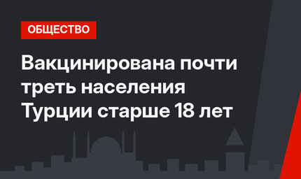 Вакцинирована почти треть населения Турции старше 18 лет
