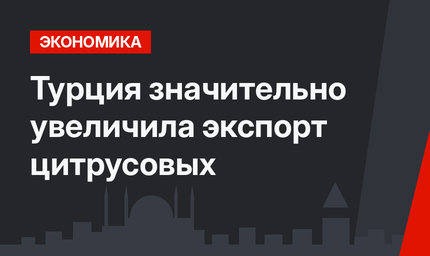Турция значительно увеличила экспорт цитрусовых 