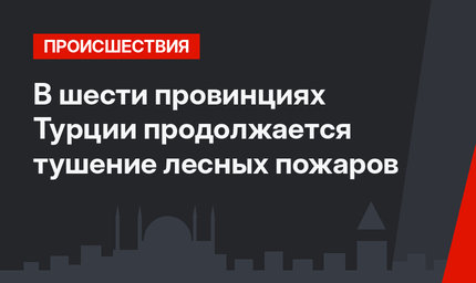 В шести провинциях Турции продолжается тушение лесных пожаров