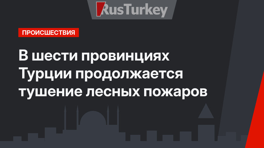 В шести провинциях Турции продолжается тушение лесных пожаров