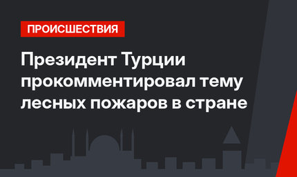 Президент Турции прокомментировал тему лесных пожаров в стране