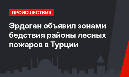 Эрдоган объявил зонами бедствия районы лесных пожаров в Турции