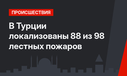 В Турции локализованы 88 из 98 лестных пожаров