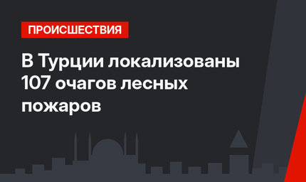 В Турции локализованы 107 очагов лесных пожаров