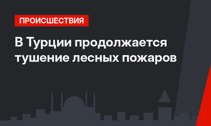 В Турции продолжается тушение лесных пожаров