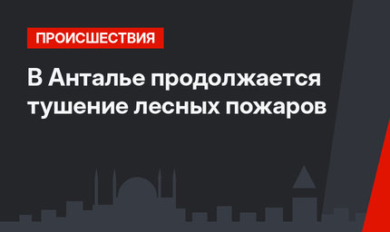 В Анталье продолжается тушение лесных пожаров