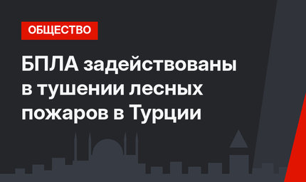 БПЛА задействованы в тушении лесных пожаров в Турции